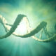 Scientists launch proposal to create synthetic human genome